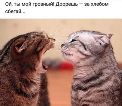 317288192 p 0 360 0.jpg