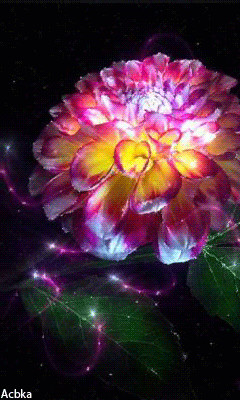 1354181.gif
