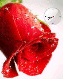 40616_d.gif