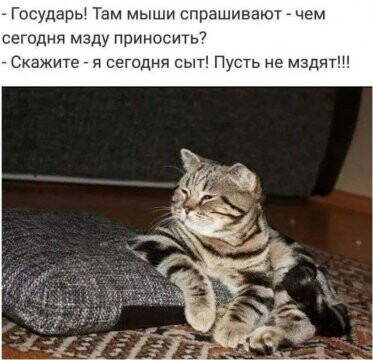 315290075 p 0 360 0.jpg
