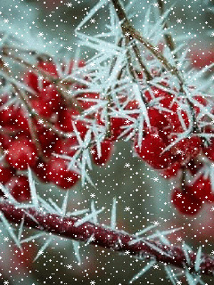 1341103.gif