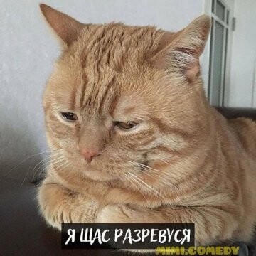 315253513 p 0 360 0.jpg