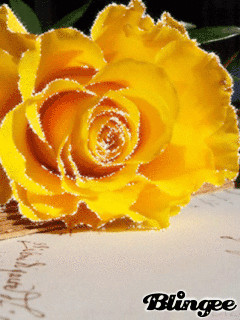 1380178.gif