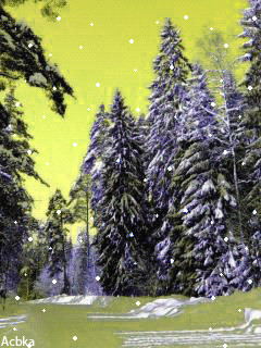 1356373.gif