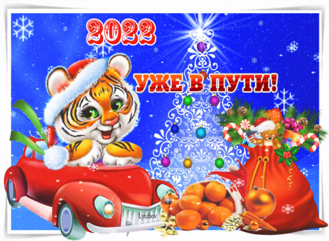 IMG 20211205 201658.gif