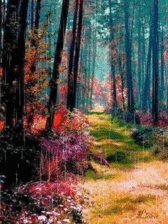 1337319.gif