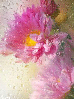 1309757.gif