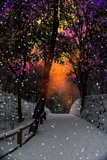 c882e9677117e87540ab7a62b7540b09.gif