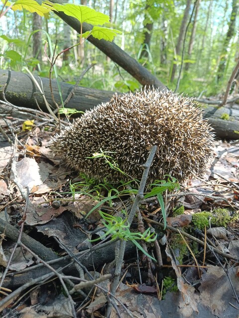 IMG-20230701-WA0006.jpg