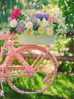 1392087.gif