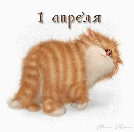 1 Aprelya.gif