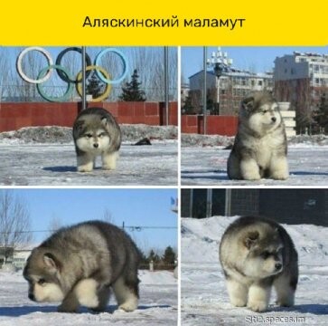 312055565 p 0 360 0.jpg