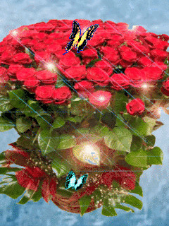 1423643.gif