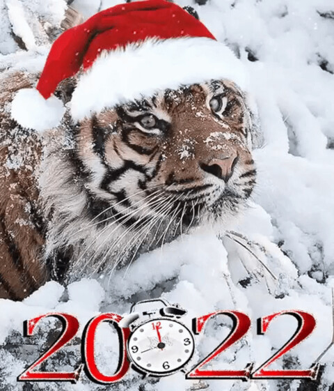 IMG 20211226 013210.gif