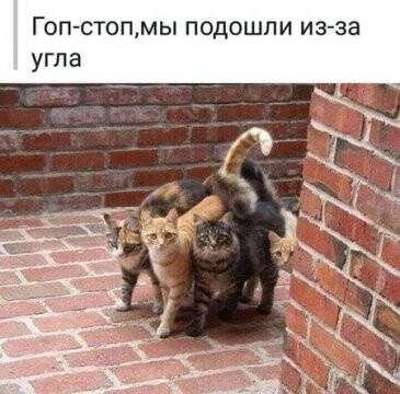 311720189 p 0 360 0.jpg