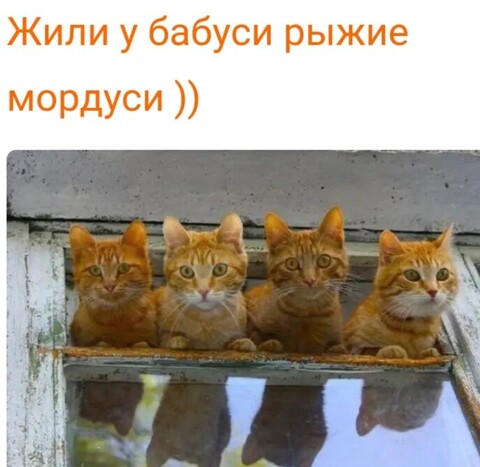 1604505727052 image.jpg