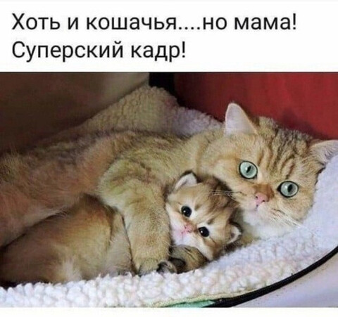 1601144297128 image.jpg