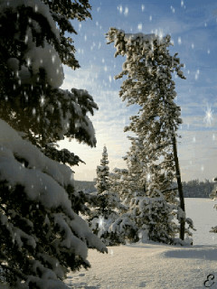 1414501.gif