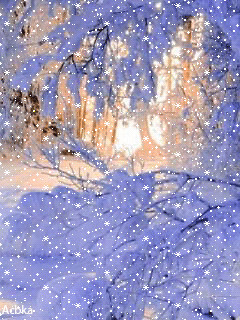 1361161.gif