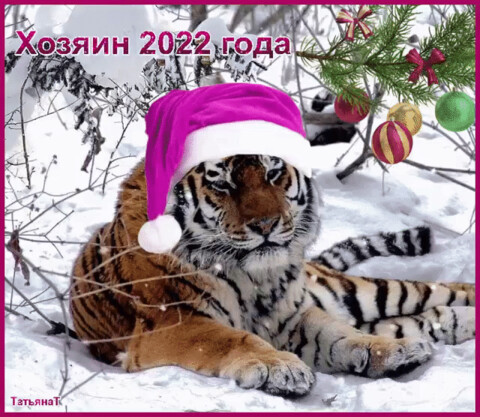 Хозяин 2022 года.gif