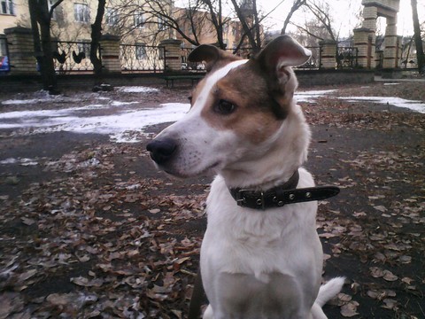 IMG 20151209 143524.jpg