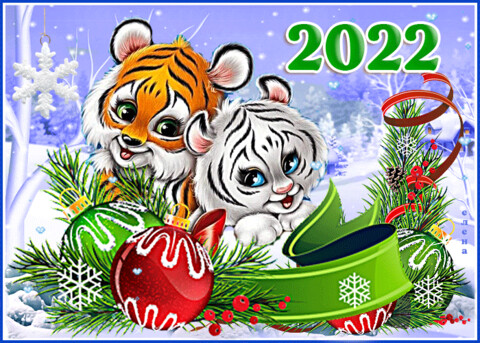 IMG 20211226 014831.gif