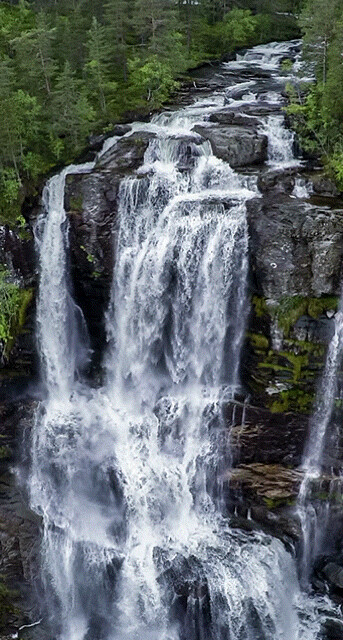 e100627278c53ec409c90c9eee013f67.gif