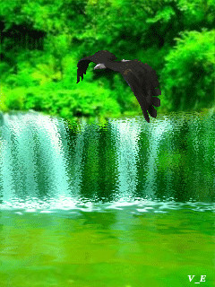 1383057.gif