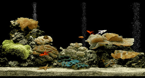 aquarium.swf