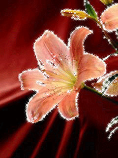 1386207.gif