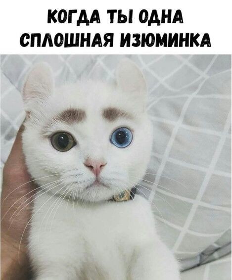 20180807215456.jpg