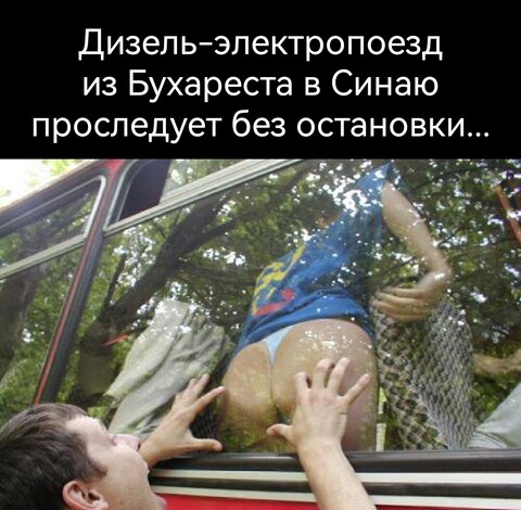 fc0cfc58-f825-403c-8409-832fc6e17476.jpg