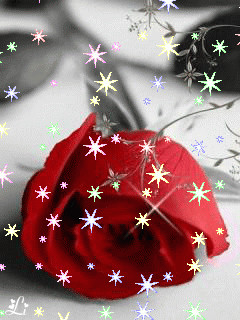 1363628.gif