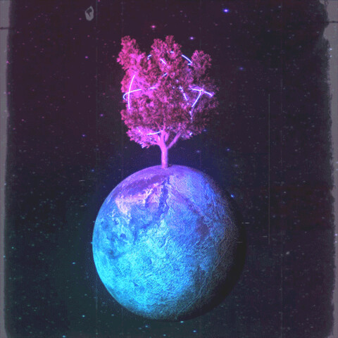 5ca8a4e830ed69427766.gif