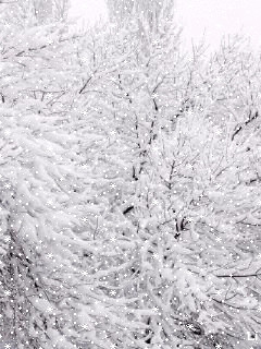 Зима(02).gif