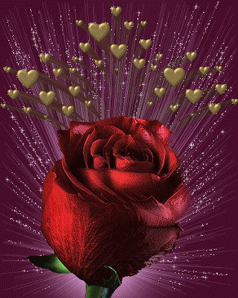 0412508567.gif