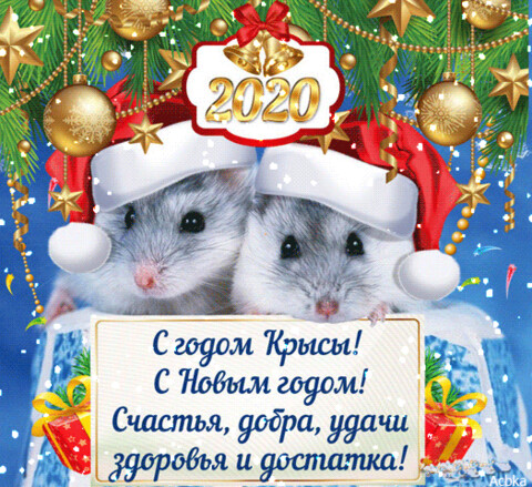1516902.gif