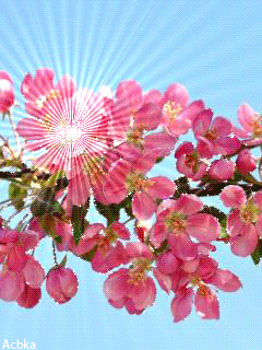 1323298.gif
