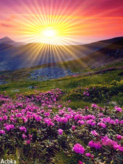 природа.gif