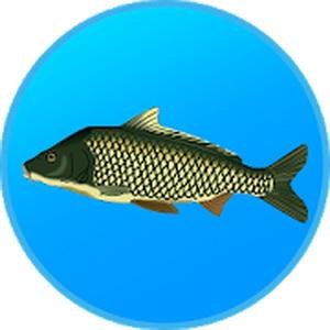 Реальная Рыбалка v1.12.0.555 (Mani Mod AdFree+cache+obb)
