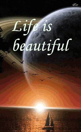 lifeisbeau 8s152niy