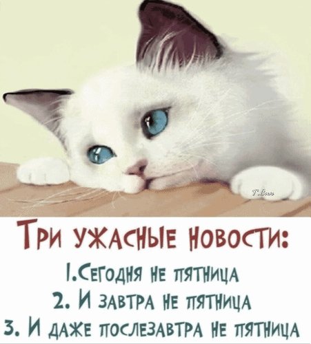 Анимированная открытка доброе утро вторника (1)