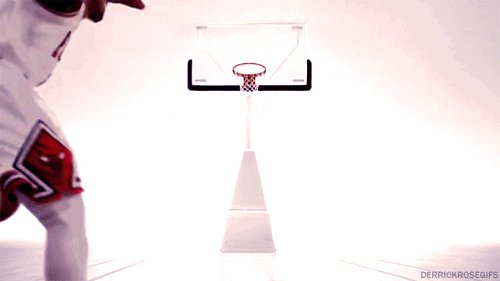 gifs 24 (1)