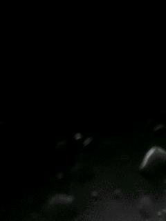 BlackWhiteЕlm