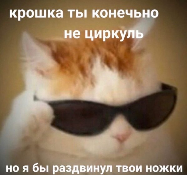 file_100279190