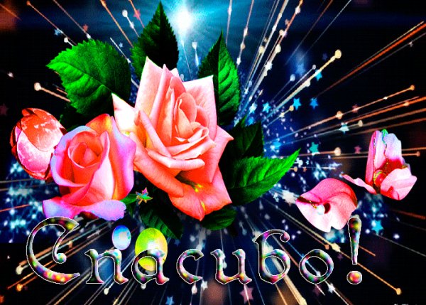 IMG 20200303 233058