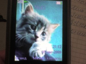 Котенок