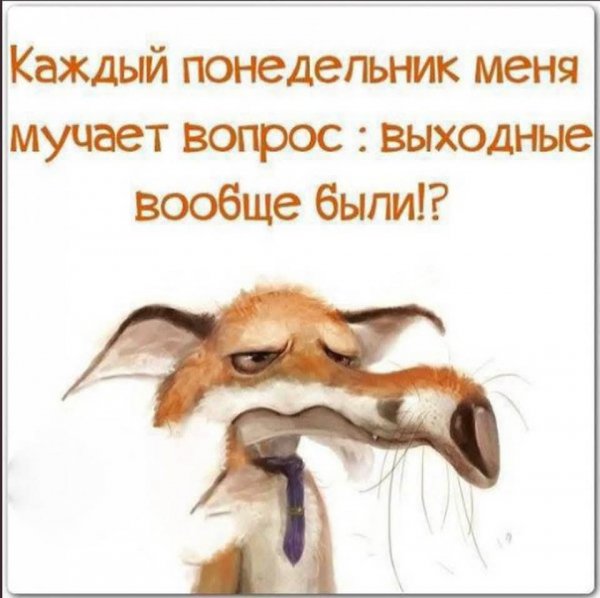 FB IMG 1752548375223