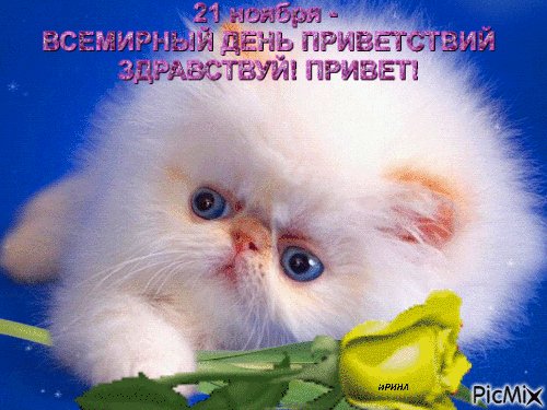 С днём приветствий
