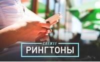 LAJ ZLOJ SOBAKI-